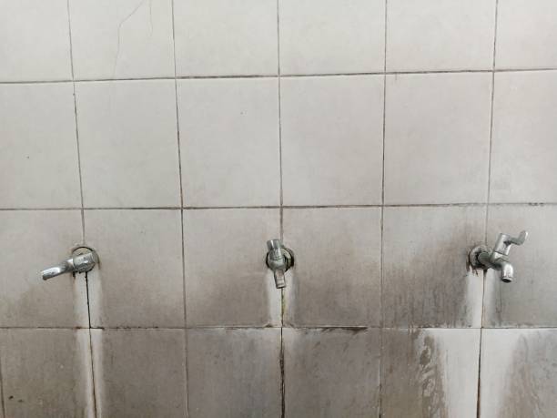 Best Carpet water damage restoration  in Offutt Af, NE