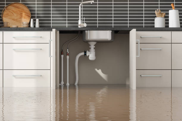 Best Water damage restoration services  in Offutt Af, NE